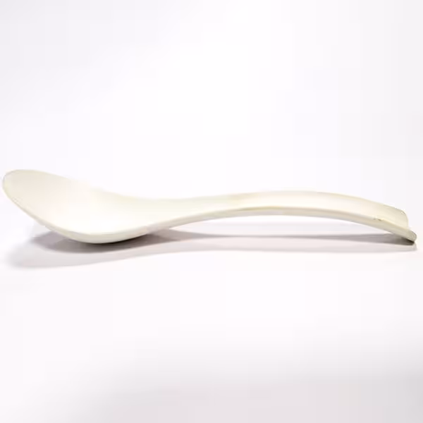 2-3-disposable-paper-spoons_21